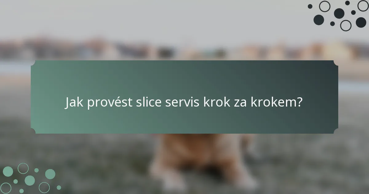 Jak provést slice servis krok za krokem?