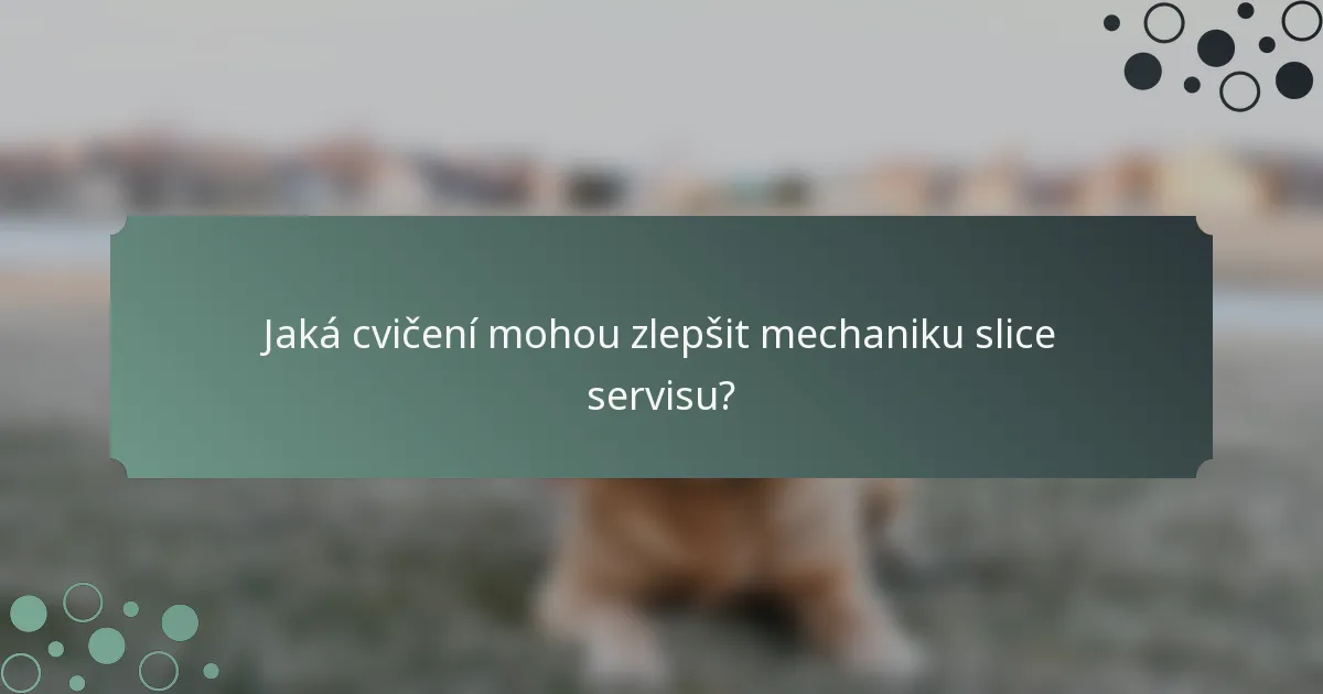 Jaká cvičení mohou zlepšit mechaniku slice servisu?