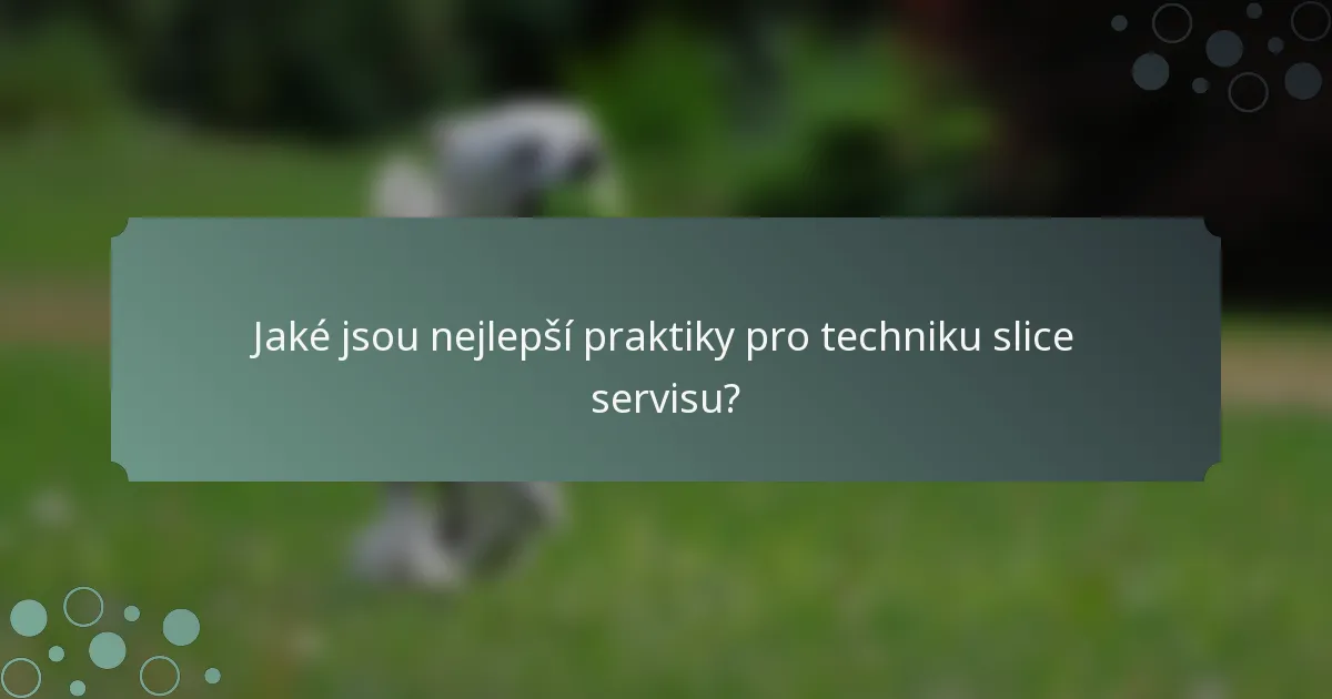 Jaké jsou nejlepší praktiky pro techniku slice servisu?