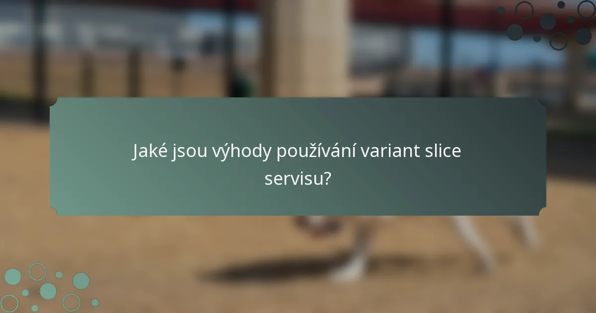Jaké jsou výhody používání variant slice servisu?